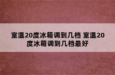 室温20度冰箱调到几档 室温20度冰箱调到几档最好